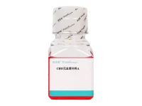 CHO无血清补料A