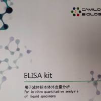 小鼠维生素D受体(Vitamin D Receptor;VDR)ELISA试剂盒