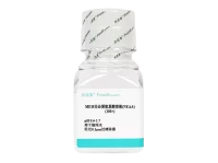 MEM非必需氨基酸溶液（NEAA），100×