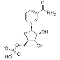 β-烟酰胺单核苷酸