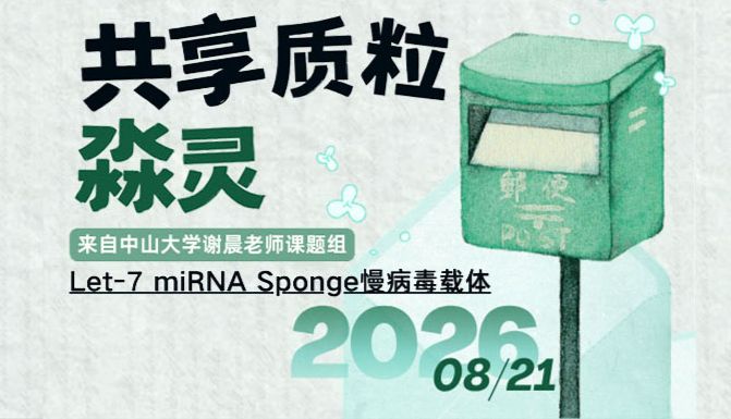 淼灵共享质粒（一）｜来自中山大学谢晨老师课题组的Let-7 miRNA Sponge慢病毒载体
