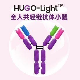 HUGO-Light双/多特异性抗体平台