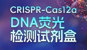 碧云天CRISPR-Cas12a DNA荧光检测试剂盒，让靶标DNA检测快人一步！
