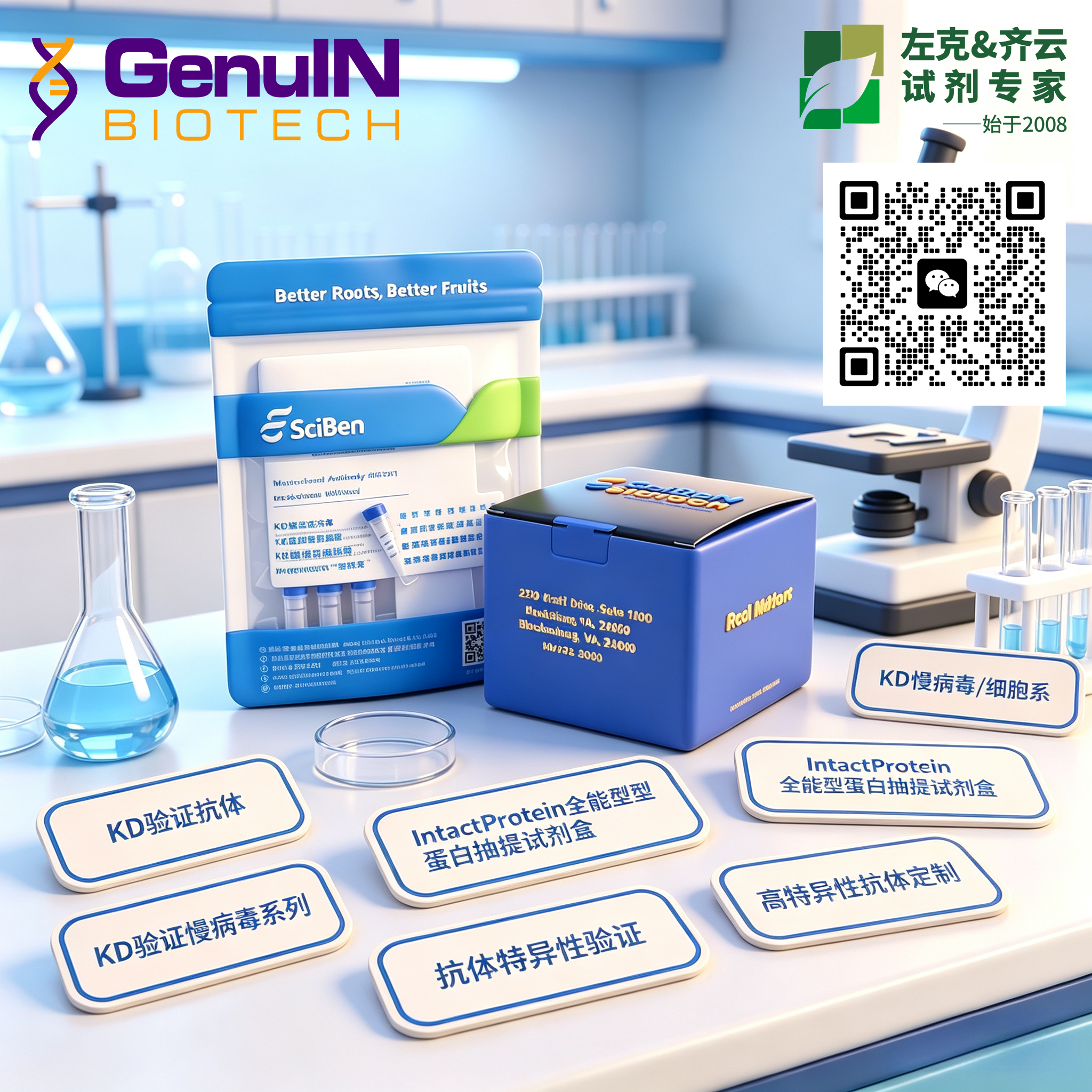 KD-Validated Anti-Cullin 5 Rabbit mAb(KD KO验证抗体,高特异性)产品图