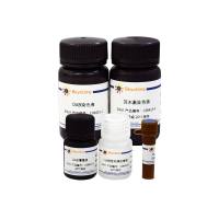 细胞色素C氧化酶染色试剂盒(DAB法)