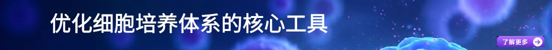 优化细胞培养体系的核心工具：重组蛋白技术概览