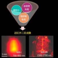 活体荧光成像
