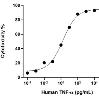 Human TNF-α Protein(Animal-Free)重组人肿瘤坏死因子α（无动物源）
