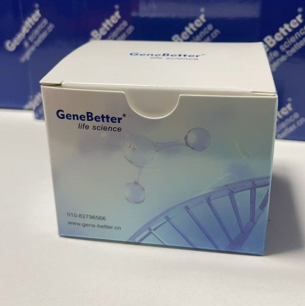 2x Universal SYBR Green qPCR Mix(适用于各种qPCR仪器)