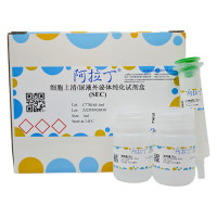 细胞上清/尿液外泌体纯化试剂盒 (SEC),BioReagent, 无菌,阿拉丁