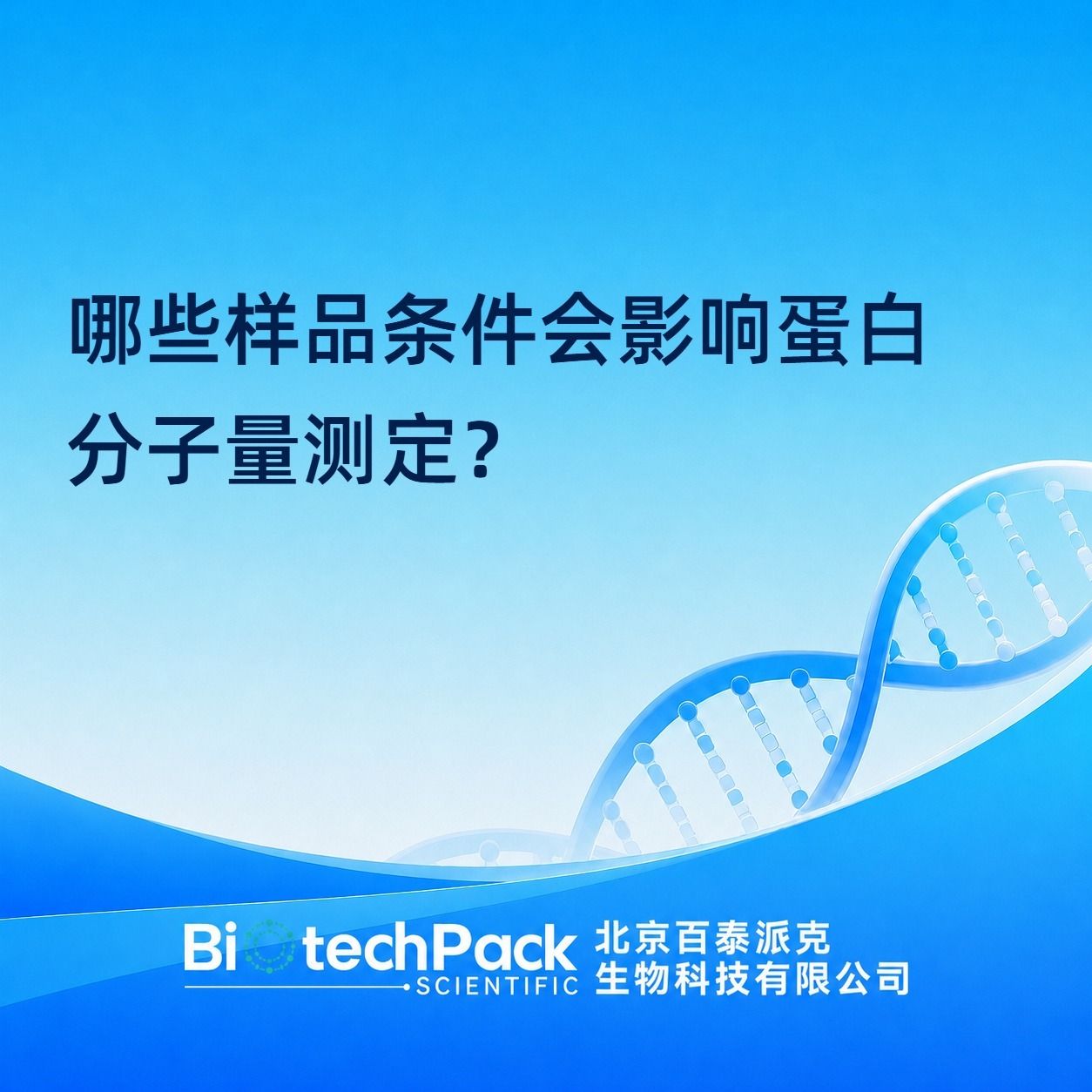 哪些样品条件会影响蛋白分子量测定?