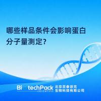 哪些样品条件会影响蛋白分子量测定？