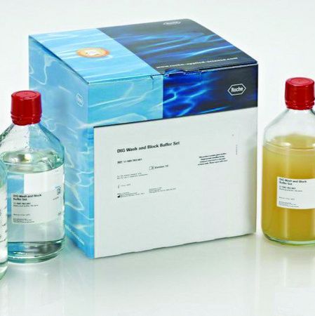Roche货号11585762001现货DIG洗涤和封闭液套装(DIG Wash and Block Buffer Set)19121878899上海睿安生物Merck-Sigma-Millipore-Roche官方正式授权代理商