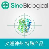 SuperSrt新型转肽酶突变体