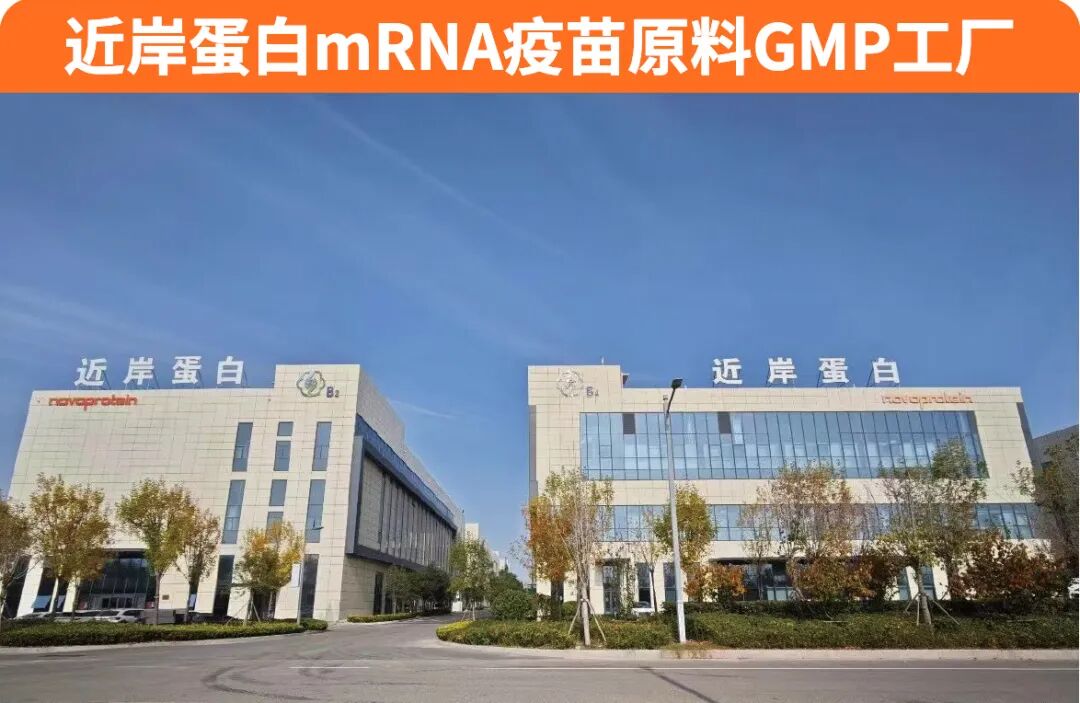 Moderna III期成果背后，个体化RNA药物正在跨过怎样的门槛？