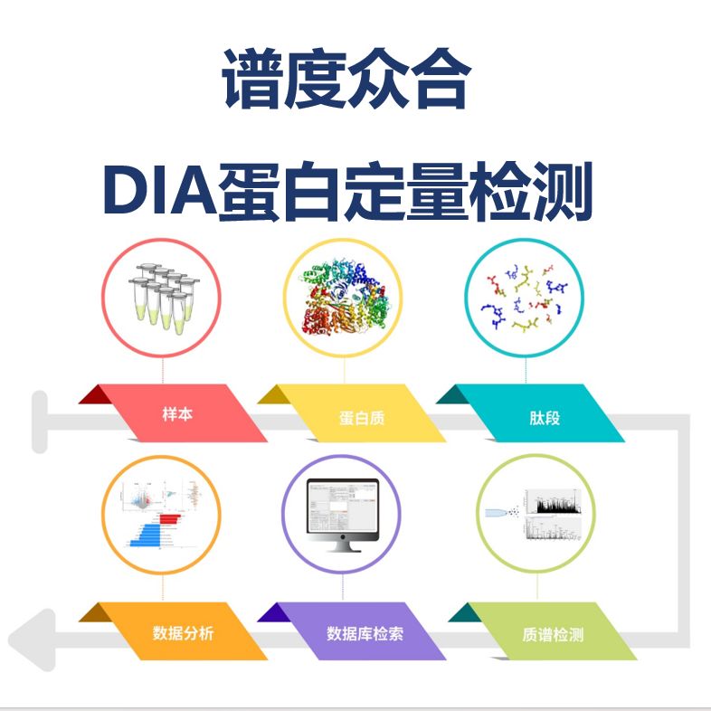 谱度众合DIA蛋白定量检测实例报告核心结果展示