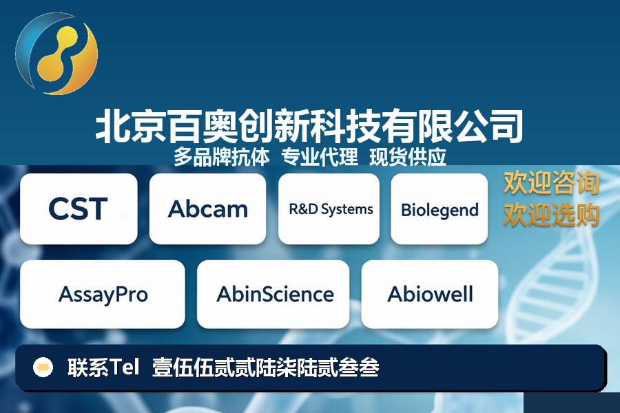 产品细节图片1