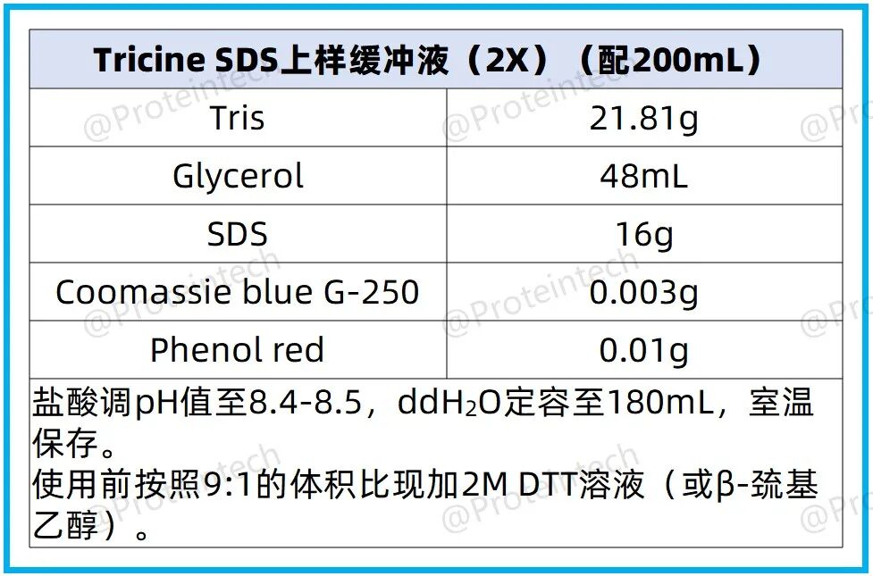 小分子WB从“跑不出来”到“条带完美”，只差这一篇实操说明书！