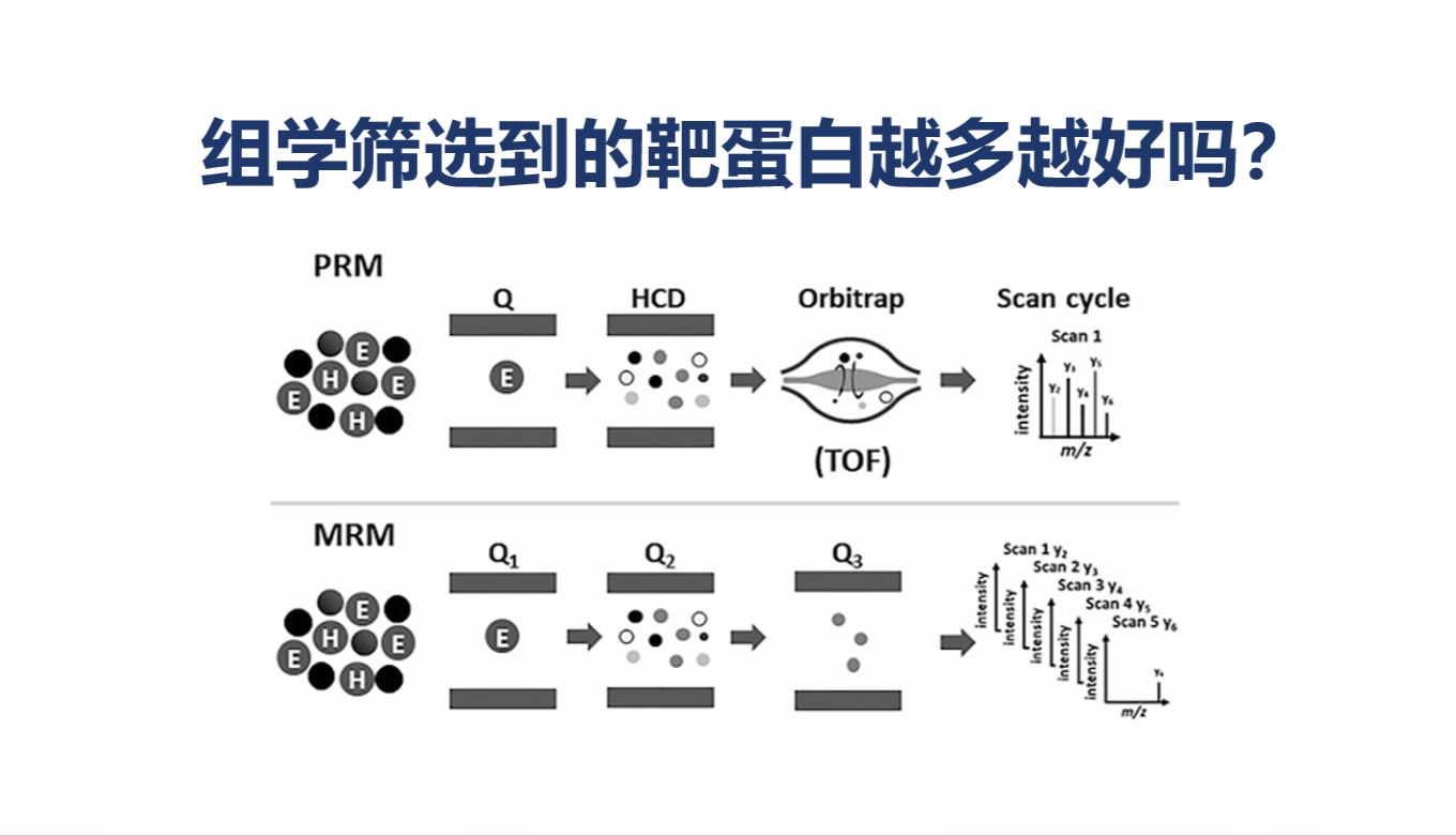 【多组学研究】组学筛选到的靶蛋白，是不是越多越好？