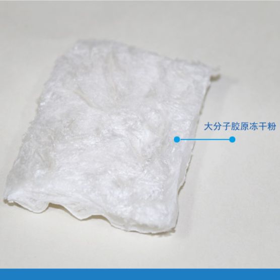 大分子胶原