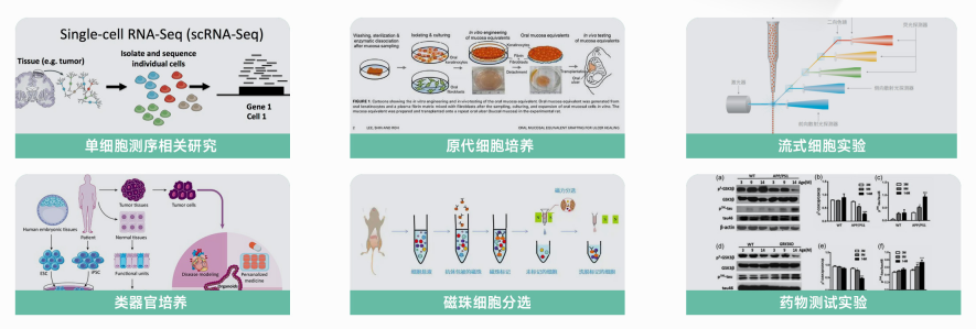 新闻图片1