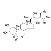 28-表高油菜素内酯