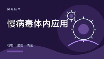 慢病毒能做体内动物实验吗？什么情况下比 AAV 更合适