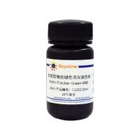 即用型微丝绿色荧光染色液(Actin-Tracker Green-488)