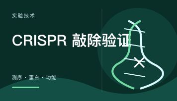 CRISPR 敲除 验证怎么做才靠谱？三种方法一次讲清