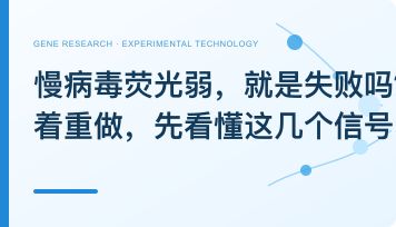 慢病毒荧光弱，就是失败吗？别急着重做，先看懂这几个信号