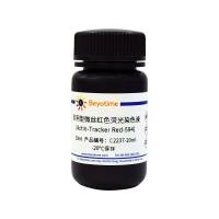 即用型微丝红色荧光染色液(Actin-Tracker Red-594)