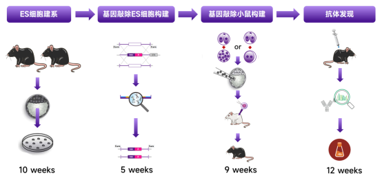 产品细节图片1