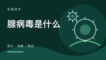 腺病毒是什么：特点、表达时间与适用场景一次说清