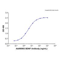 Recombinant Human BDNF Protein,无载体, 生物活性, ActiBioPure™, His标签, ≥95%(SDS-PAGE), expressed in E. coli; 见COA,阿拉丁