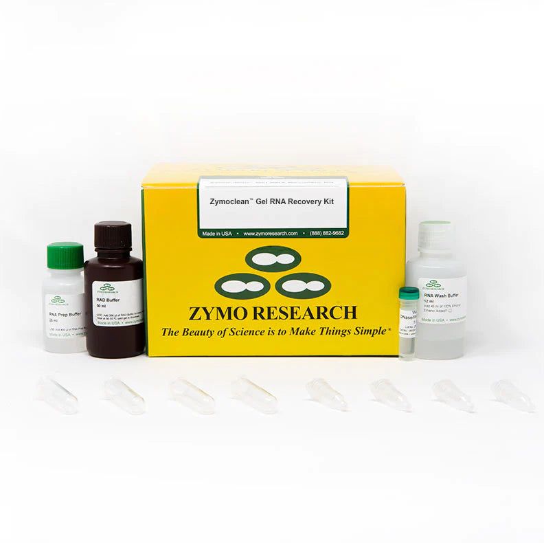 Zymoclean 凝胶 RNA 回收试剂盒