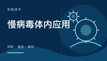 AAV 和慢病毒区别在哪？体内体外到底怎么选（一篇讲清）