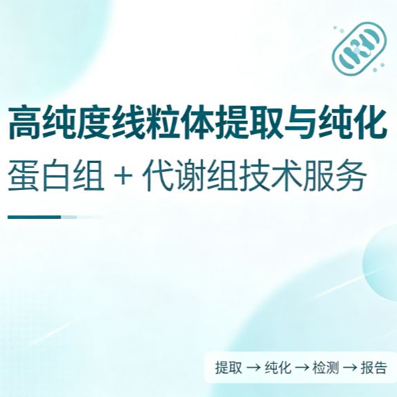 线粒体蛋白组+代谢组测序分析