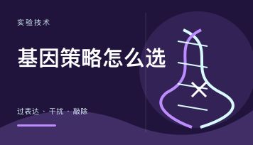 过表达 干扰 敲除 区别 怎么选？一张表帮你定方向