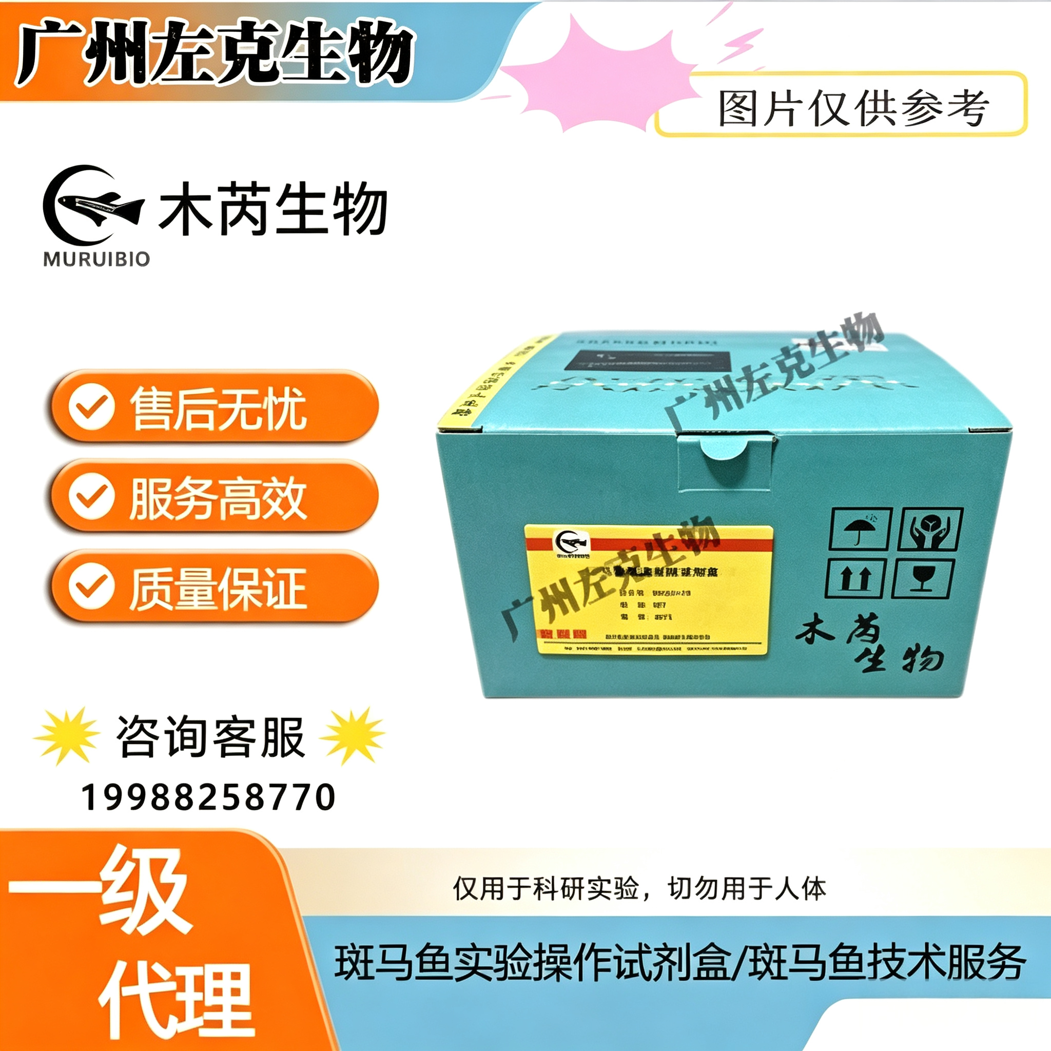 【斑马鱼】T7酶切试剂盒 MR206-01产品图