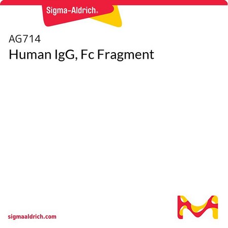 人IgG，Fc片段