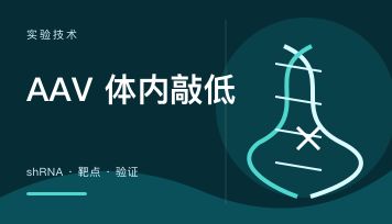 AAV 三保一是什么？shRNA 体内敲低一次保一条有效靶点