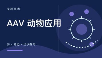 AAV 动物实验能做什么？肝 / 神经 / 眼 / 心血管 / 肌肉方向一文梳理