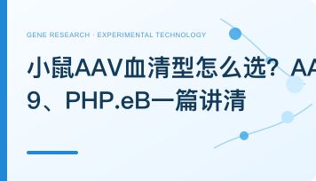 小鼠AAV血清型怎么选？AAV8、AAV9、PHP.eB一篇讲清