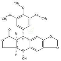 苦鬼臼毒素/苦鬼臼素
