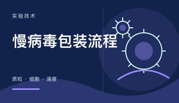 慢病毒包装流程与原理：从质粒到滴度，一步步说清楚