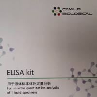 人抗甲状腺过氧化物酶抗体(Anti-Thyroid-Peroxidase antibody;TPO-Ab)ELISA试剂盒