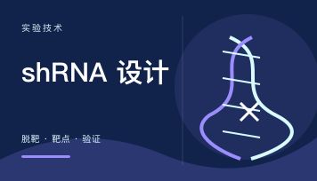 shRNA 设计 脱靶怎么破？给新手的一版实操清单