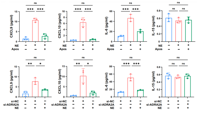 实验结果2 实验结果2