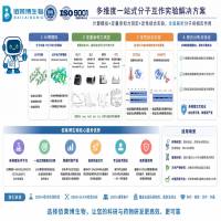 佰莱博生物——一站式生物分子互作与药物筛选服务专家