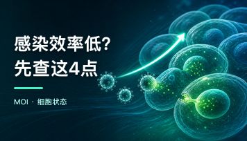 慢病毒感染效率低怎么办？一套排查顺序和提速办法